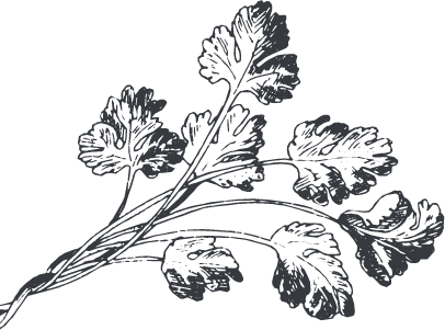 мясной дом ивановых сайт