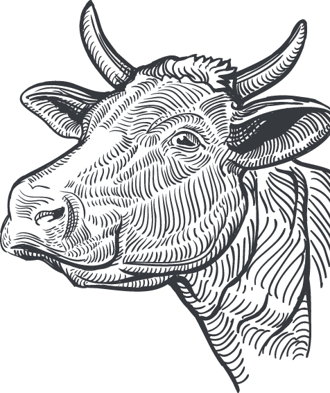 производство мясных и колбасных изделий