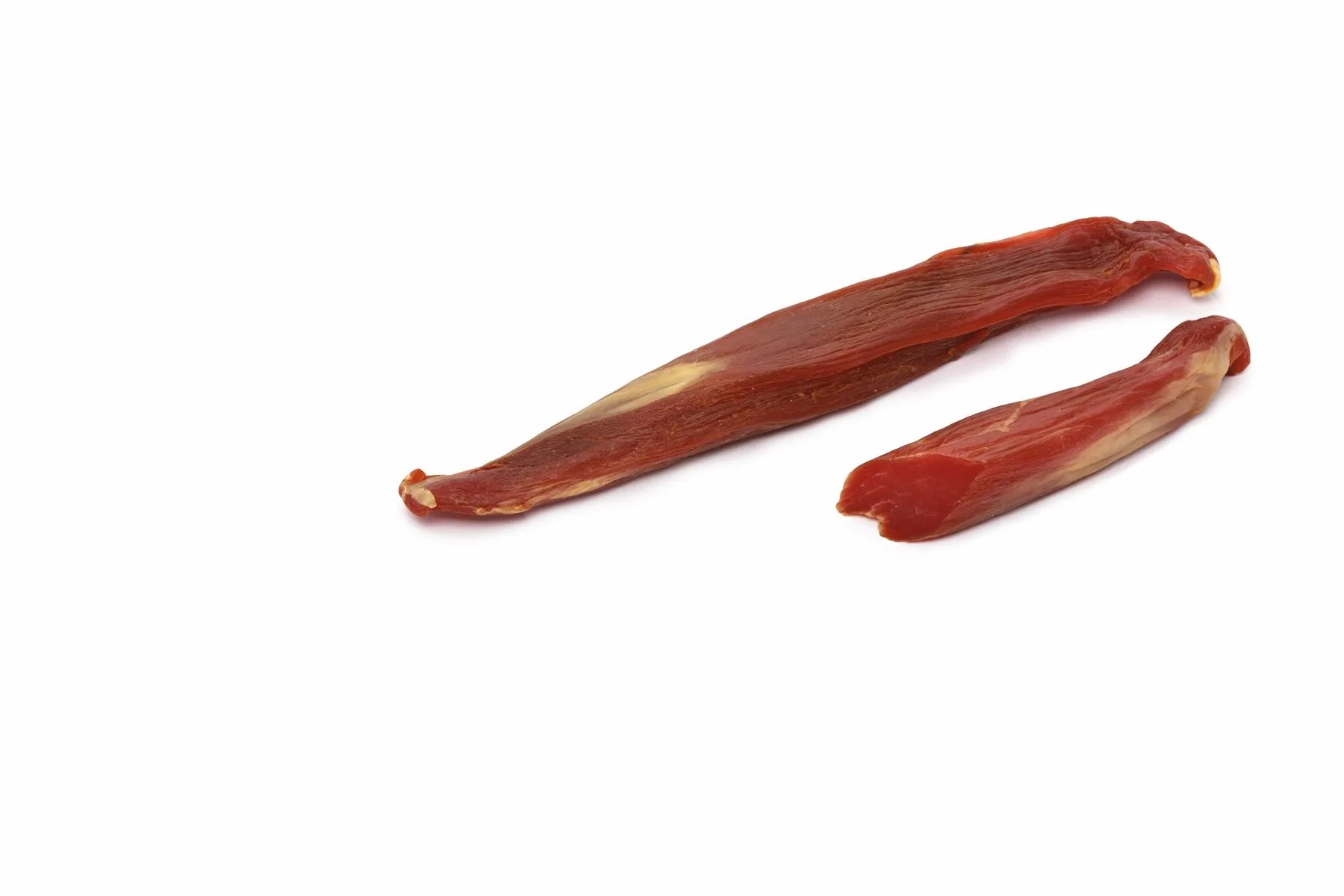 Филей Миланский